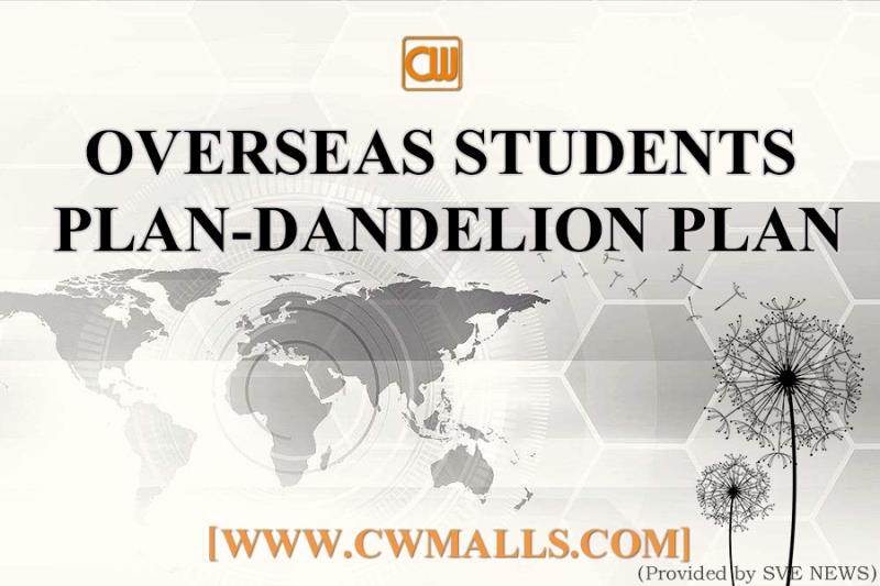 8.7CWMALLS® Overseas Students Plan - Dandelion Plan